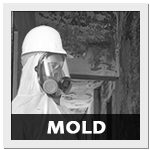 Mold Courses